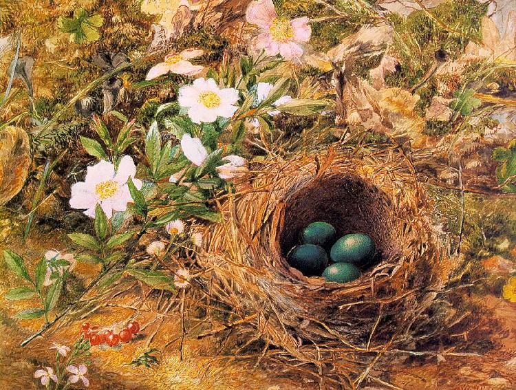 Hill, John William Bird's Nest and Dogroses Sweden oil painting art